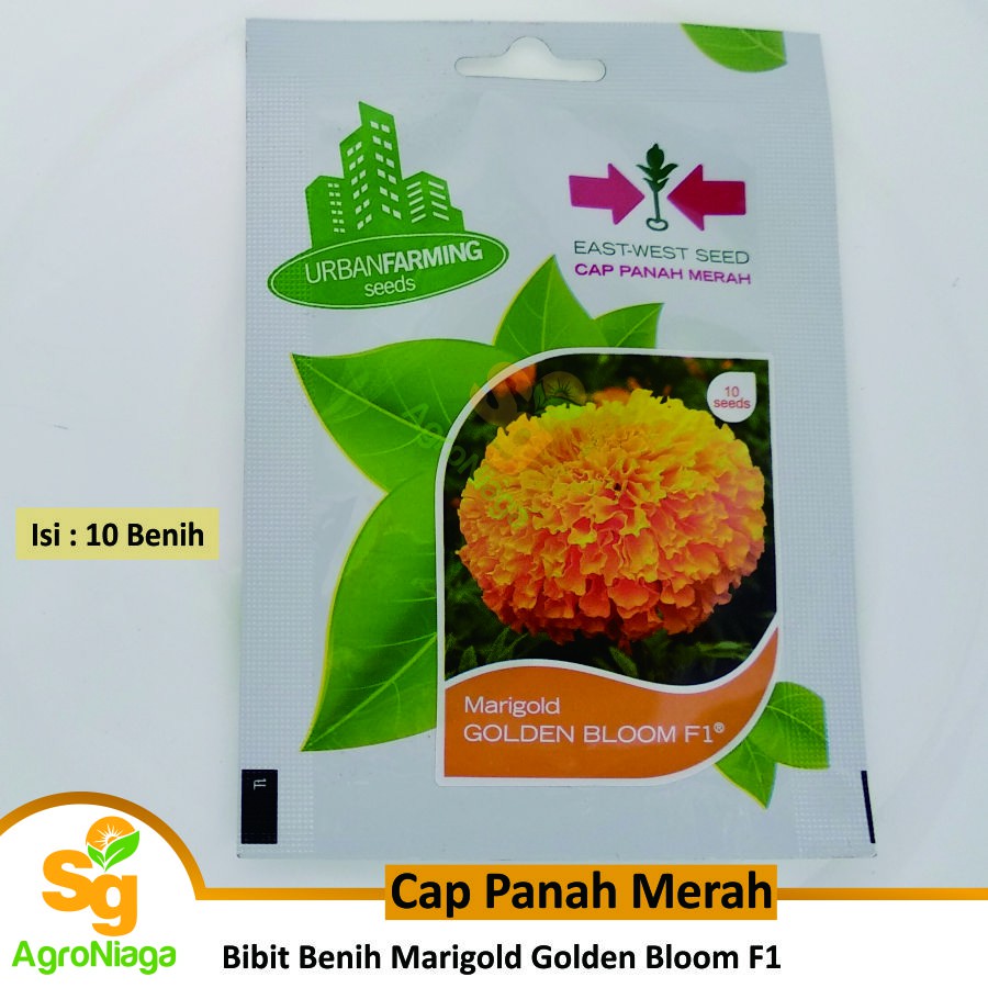 Bibit Benih Bunga Marigold Golden Bloom F1 Cap Panah Merah
