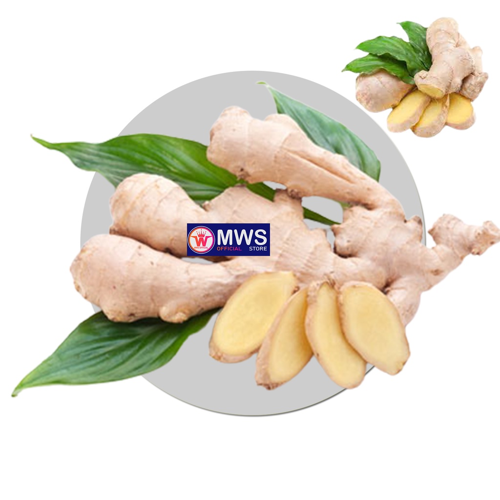 

JAHE EMPRIT 500 GRAM FRESH MWS