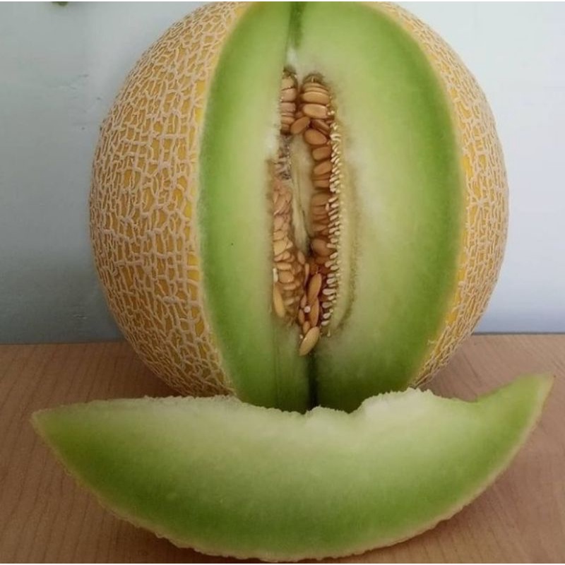 

MELON 1 BUAH/BUAH MELON MADU MANIS FRESH/MELON FRESH BERAT -+2000GRAM