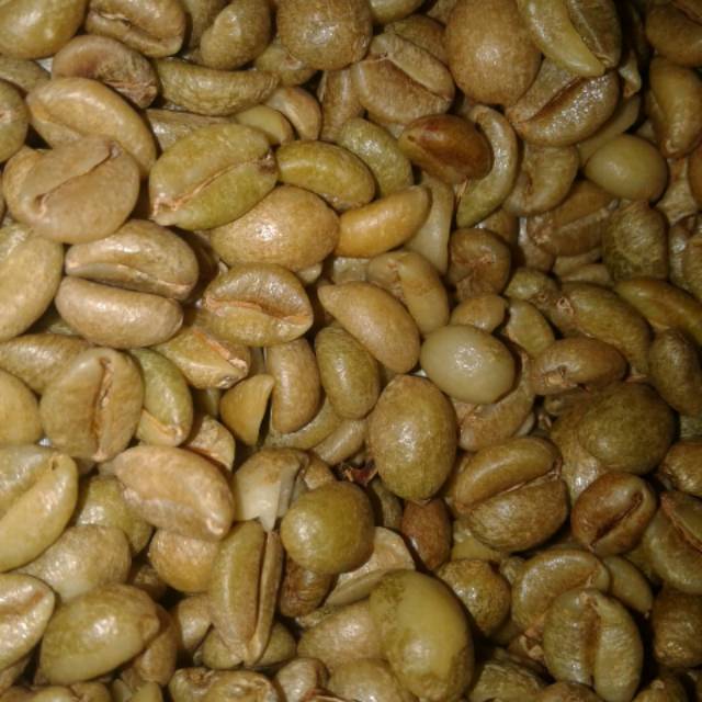 Green bean excelsa anjasmoro