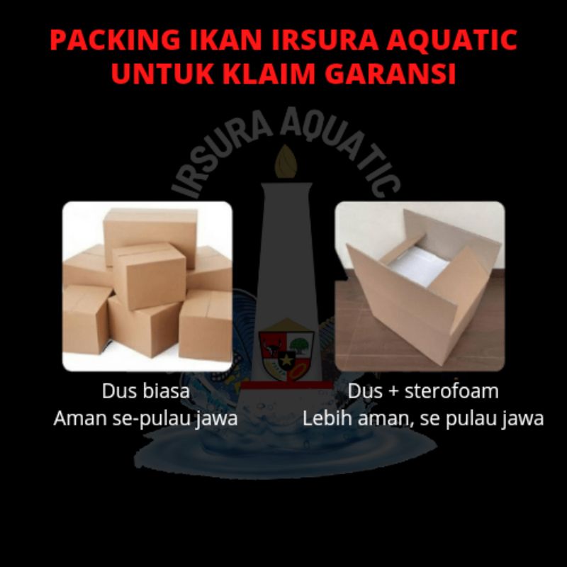 

Packing klaim garansi