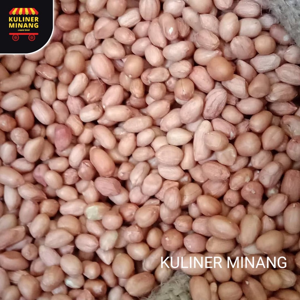 

Kacang tanah mentah 500 gr Oleh Oleh Cemilan Payakumbuh Padang Khas Pariaman Jajanan Snack Kuliner Minang Kabau AX00