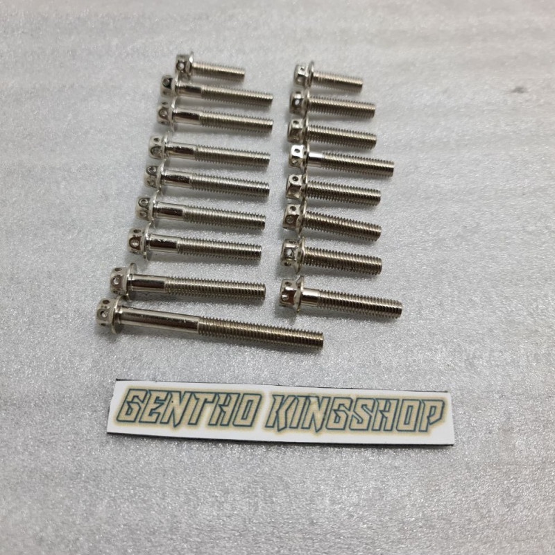 BAUT SET BAK MESIN RX KING PROBOLT CROM