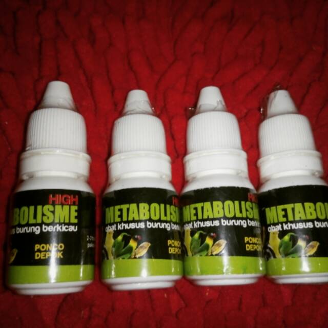 

Metabolisme isi penuh