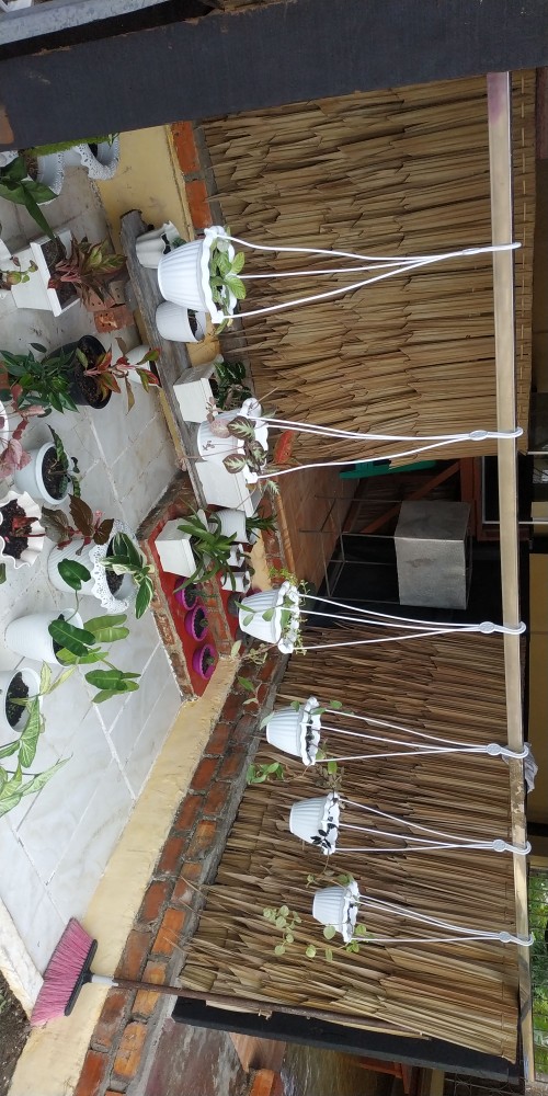 Pot Tanaman / Bunga Gantung 25 Renda Putih