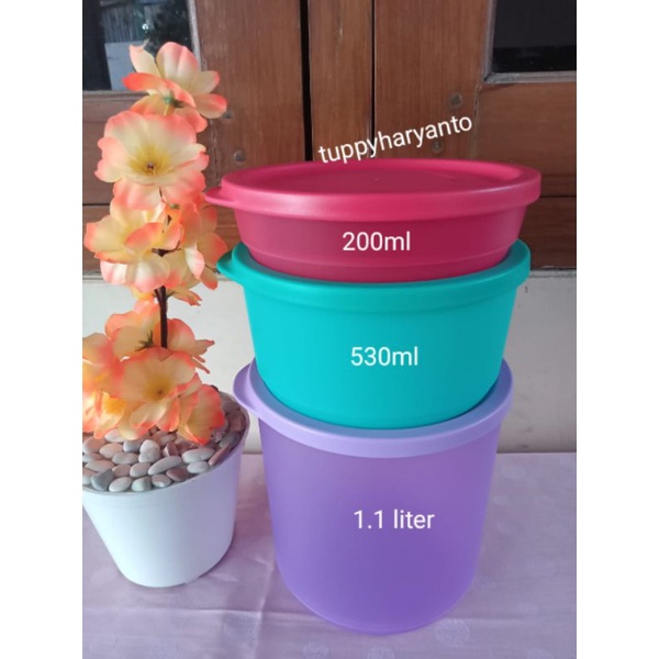 Toples tropical summer go round ecer tupperware ( Redi warna baru )