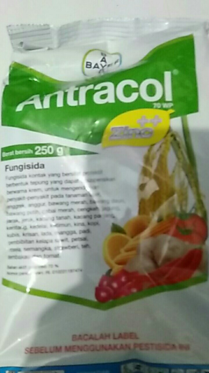 (cod) Fungisida Antracol 70 Wp Kemasan 250 Gram