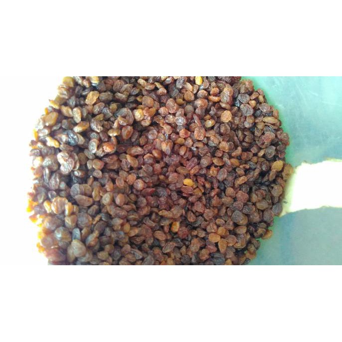 

Best Seller Kismis 1kg / Repack / kiloan / Anggur kering / Pelengkap Cake Cookie