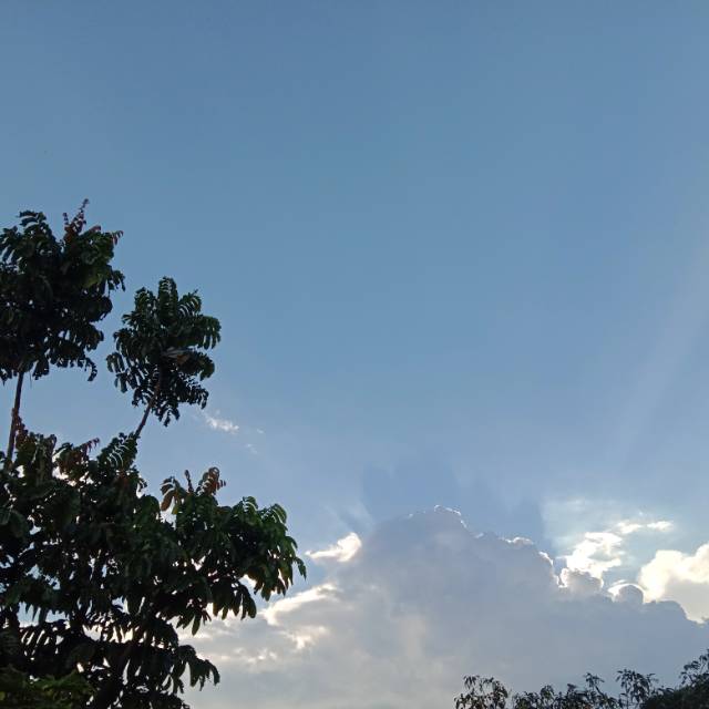 nurhadiantih