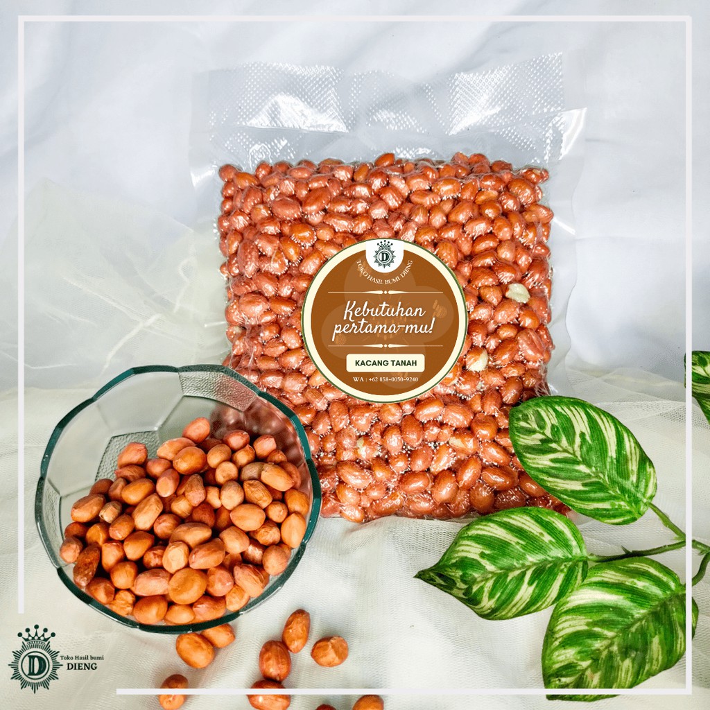

KACANG TANAH MENTAH 500gr