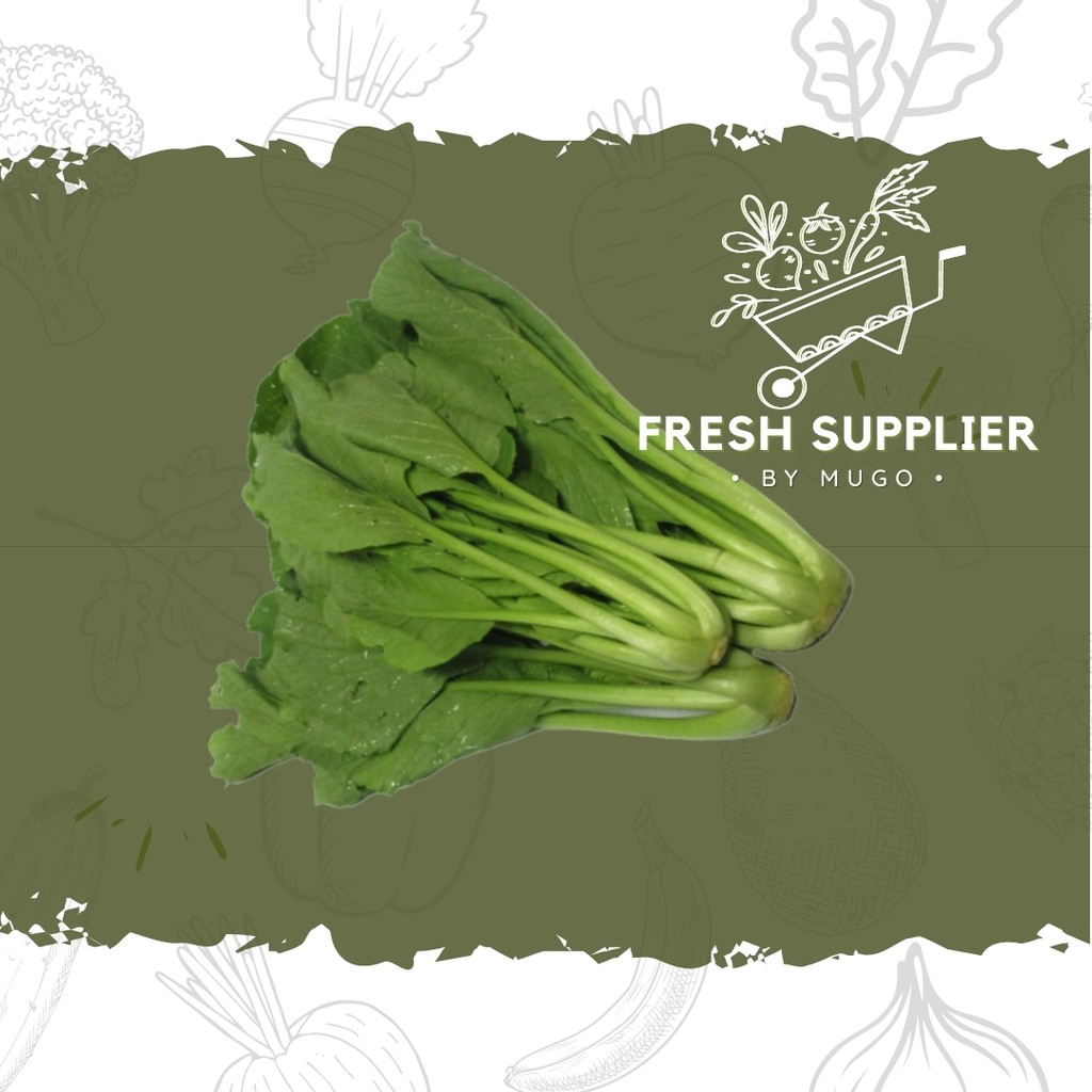 

Caisim 1 Ikat Fresh Supplier