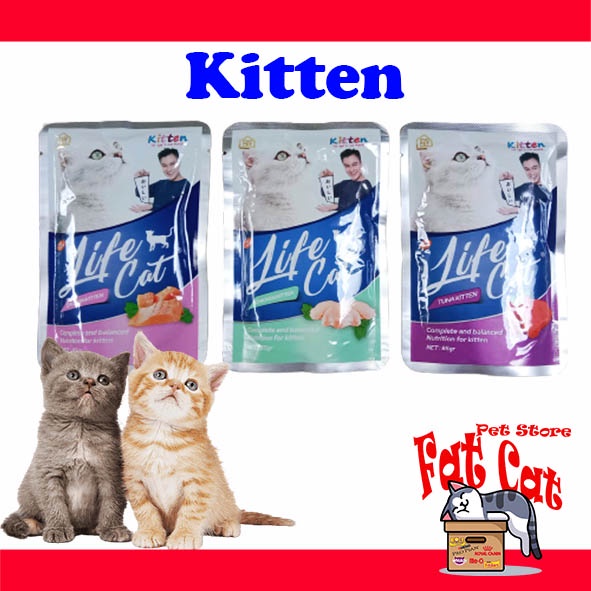 LIFE CAT KITTEN POUCH / SASET Makanan Kucing All Variants (85gram