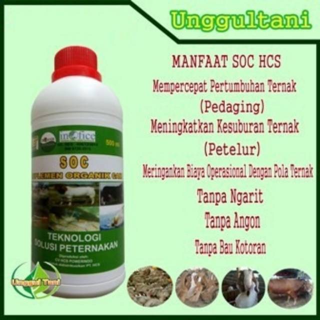 Cara Membuat Pakan Fermentasi Kambing Pola Hcs