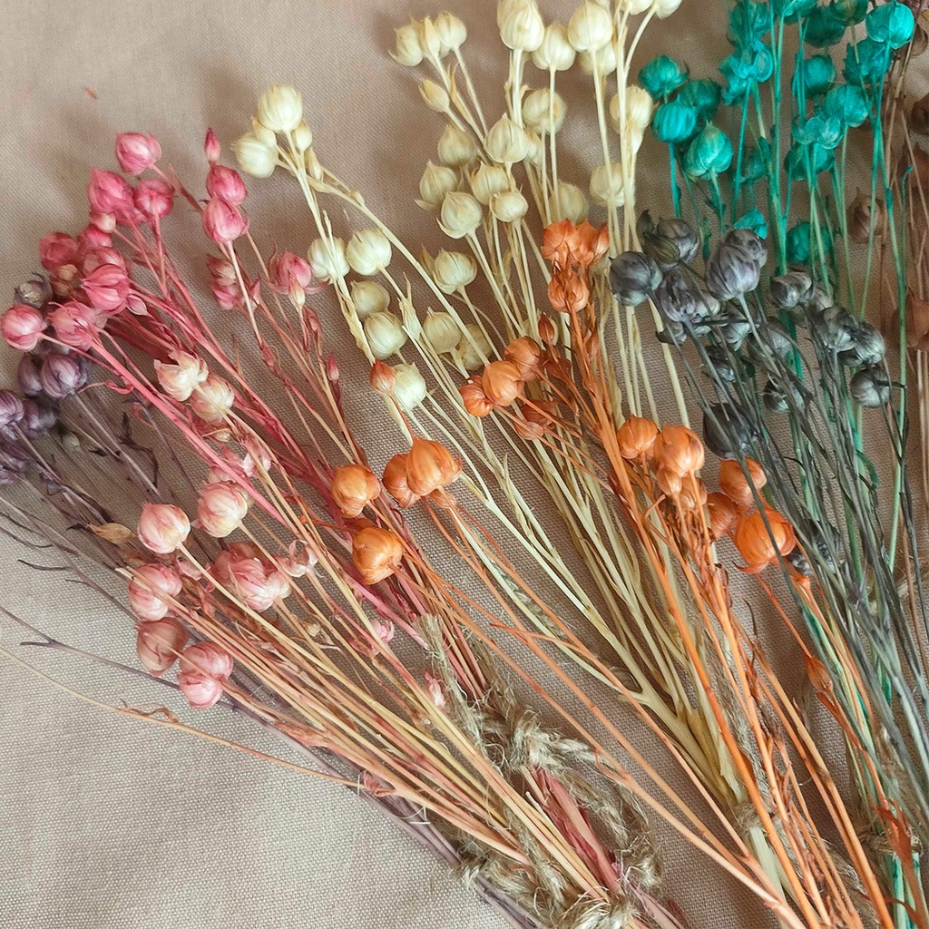 Dried Flower Lino Bunga Kering Asli Dekorasi Hias Buket Pajangan