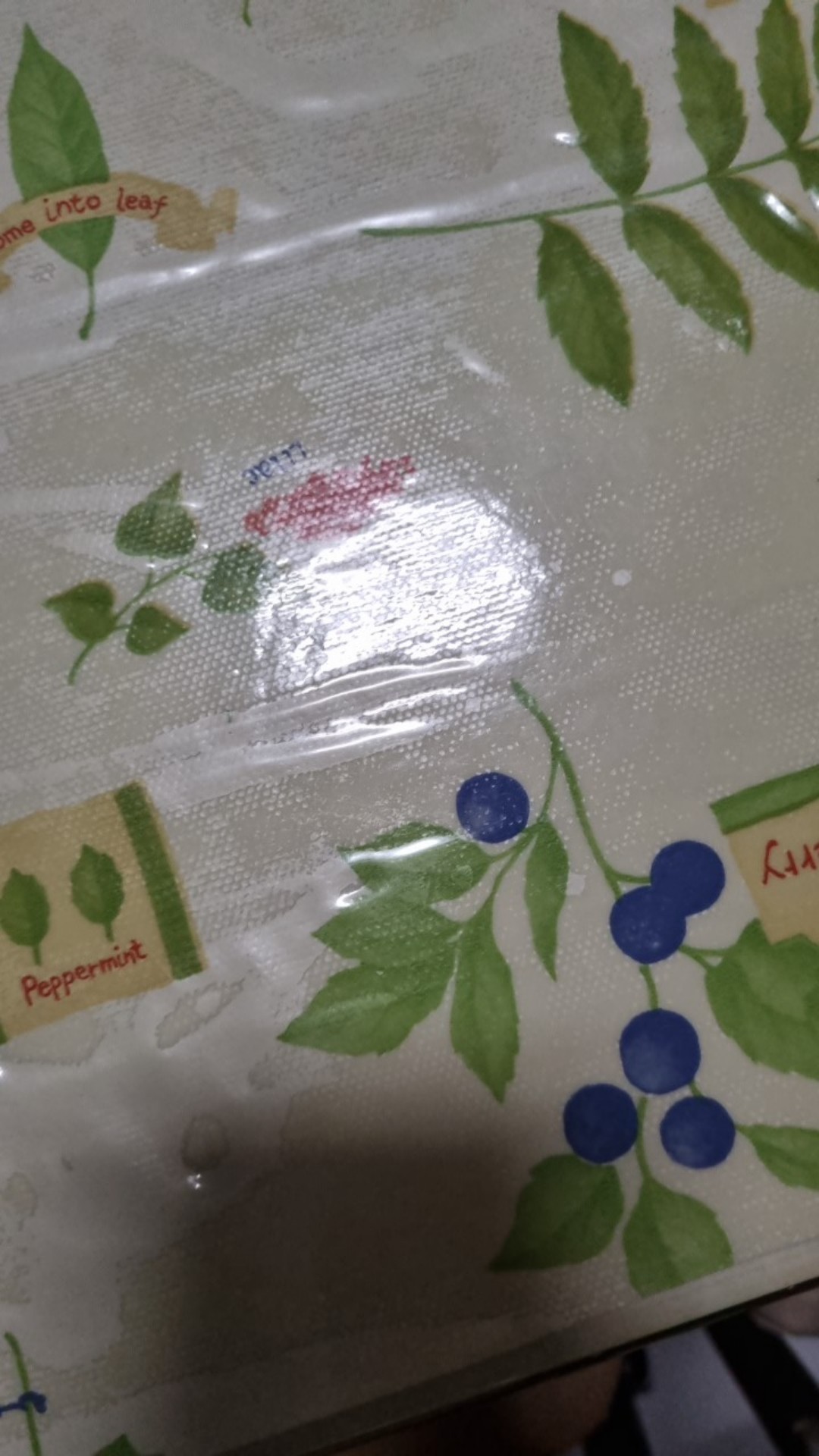 Kemoceng Microfiber Bisa Dipanjang Pendekkan/ Kemoceng Cendol