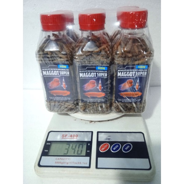 Maggot Super Super Maggot 100gr