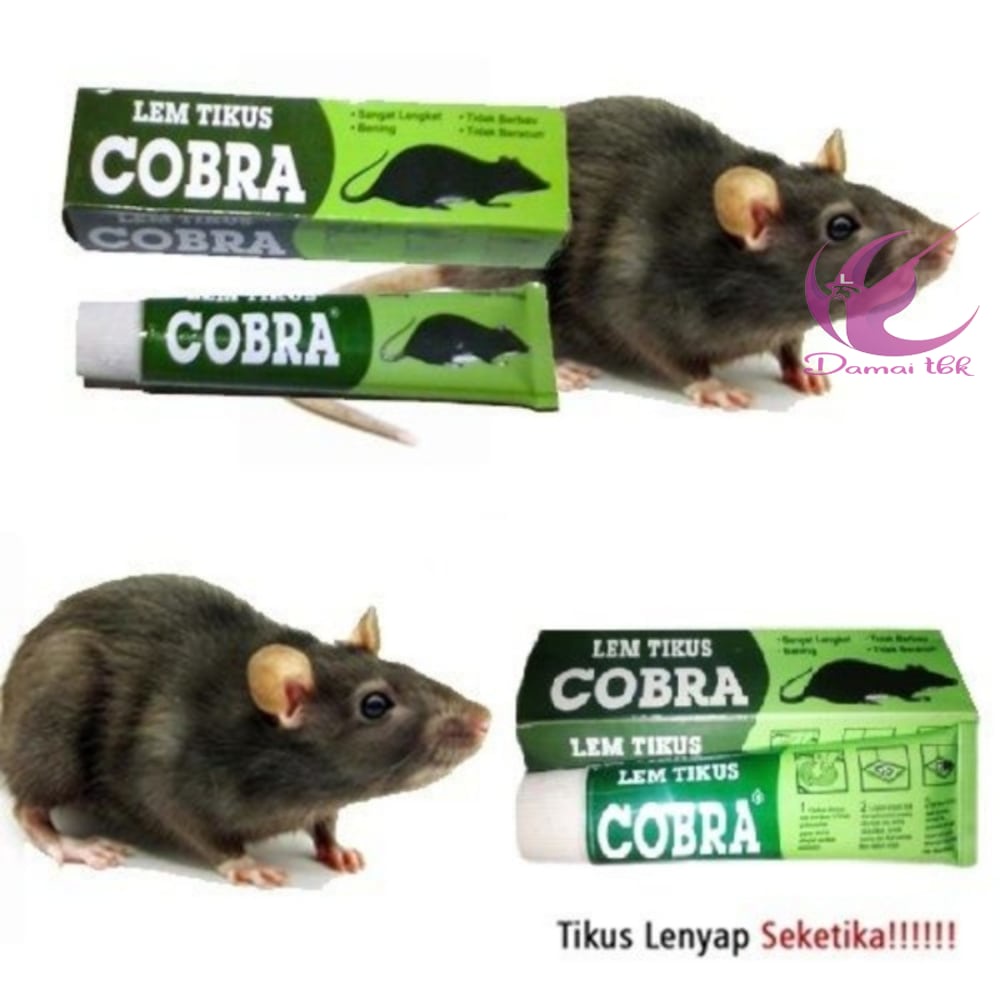 

Lem Tikus Cobra