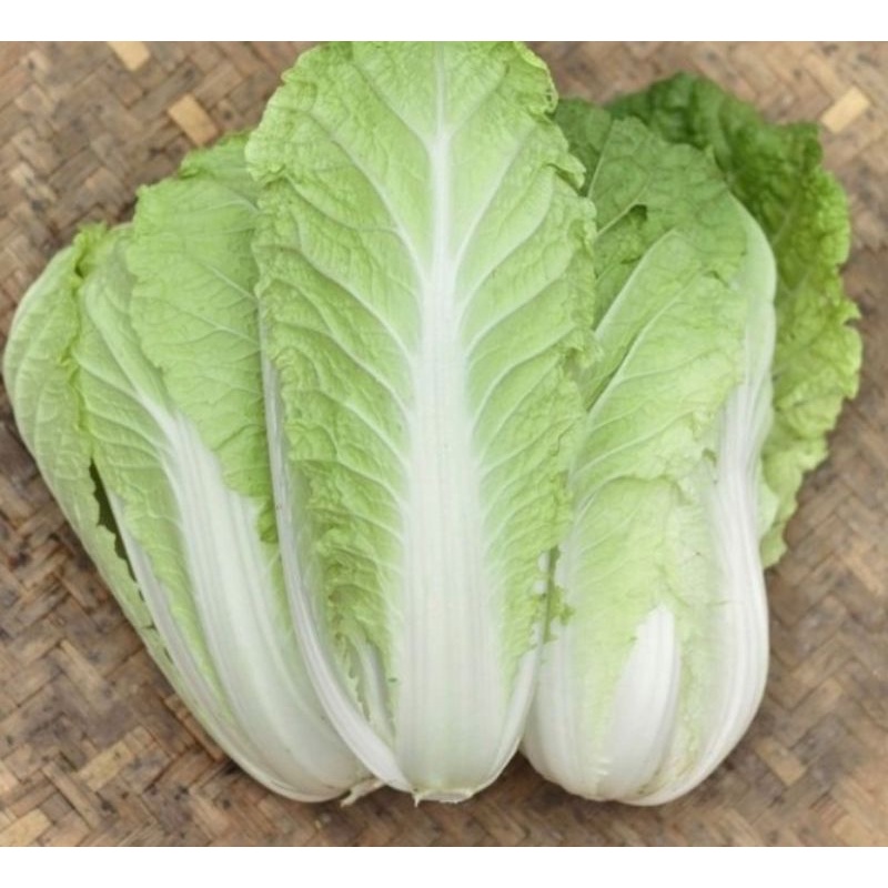 

SAWI PUTIH isi 2/SAYUR SAWI PUTIH FRESH