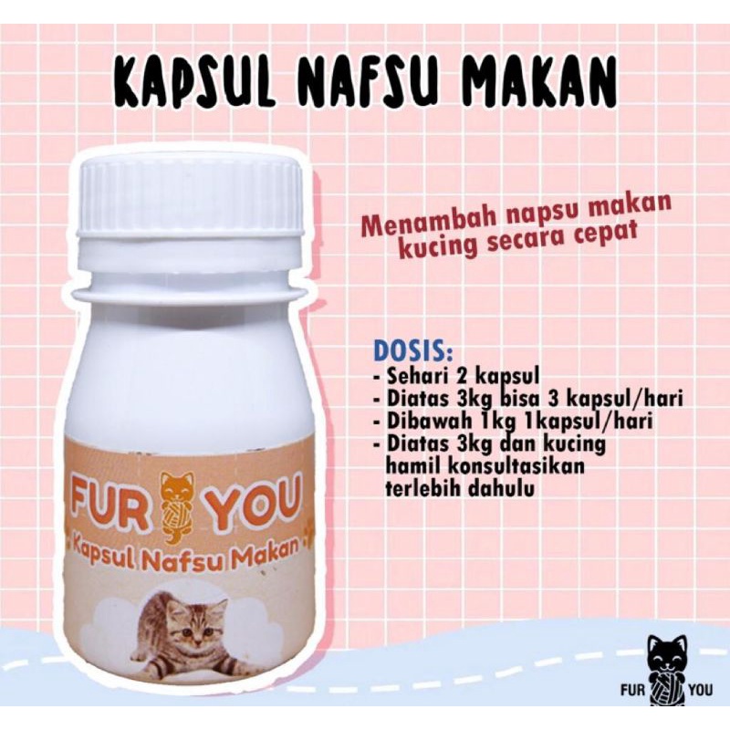 obat kapsul nafsu makan kucing . suplemen nafsu makan kucing