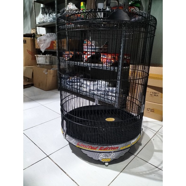 SANGKAR KANDANG MURAI BNR BARU 2022 CARBON LIMITED NO.2