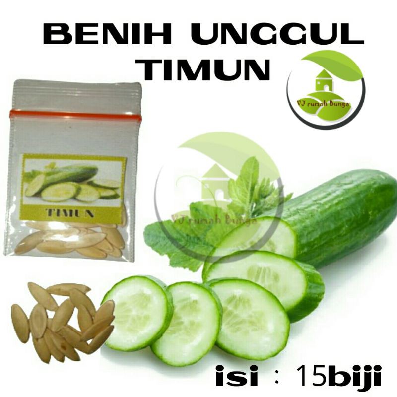 Benih Sayuran Unggul Ratusan Benih Sayur Benih Bibit Sayuran-timun lalap