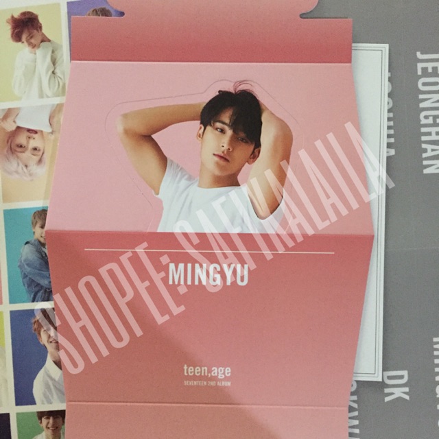 Jual MINGYU STANDEE Seventeen 2nd Album Teen, Age | Shopee Indonesia