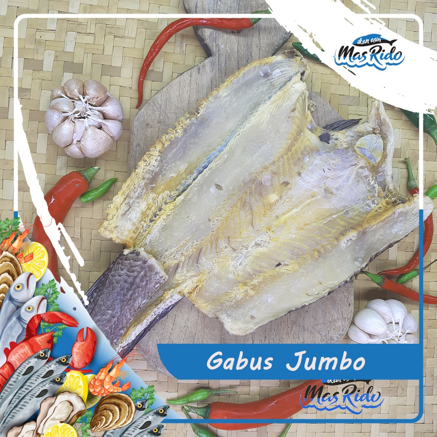 

IKAN GABUS BESAR / IKAN ASIN GABUS BESAR / IKAN ASIN GABUS / GABUS ASIN / IKAN ASIN GABUS SUPER