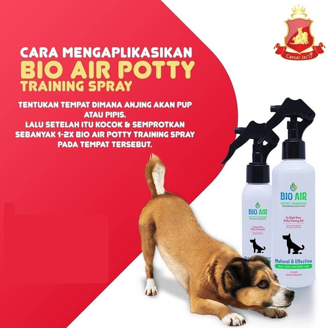 Spray Melatih Pipis Dan Pup Anjing Dog Potty Toilet Training Shopee Indonesia