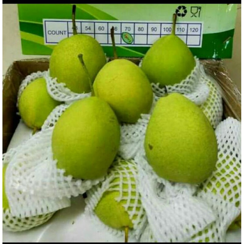 Jual Pear Xiang Lie Fres 1 Kg Shopee Indonesia 