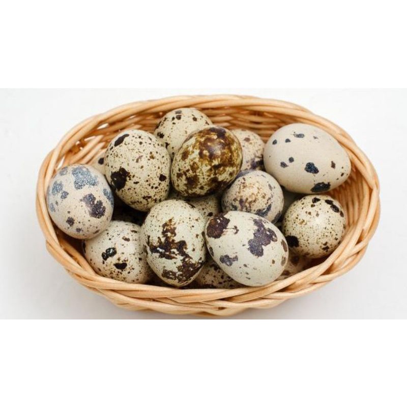

TELUR PUYUH per 10 biji