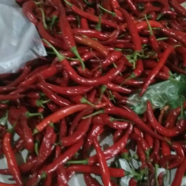 

cabe merah