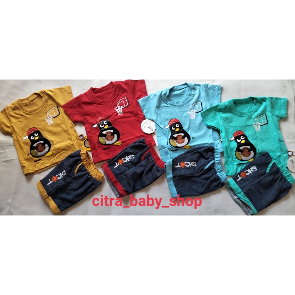 Setelan Kaos Anak Cowok Usia 12 Bulan Impor Motif Pinguin