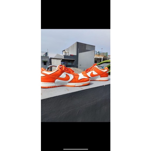 Sepatu Nike SB Dunk Second