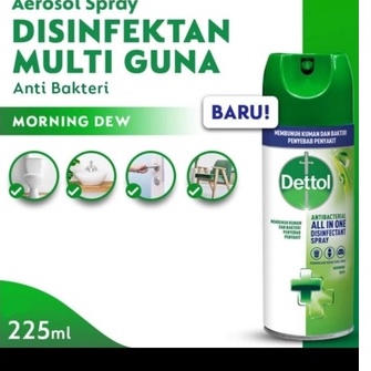 Dettol Disinfektan Multi Guna