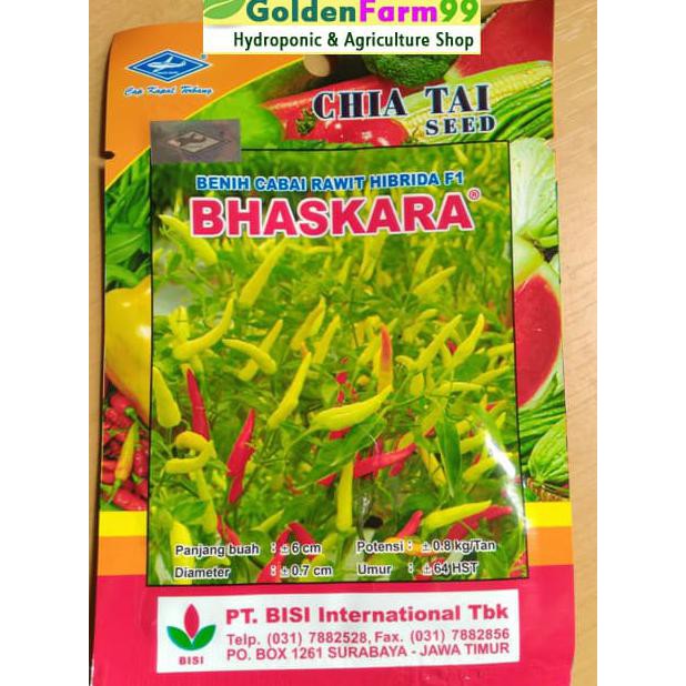 Terpopuler Benih Cabai / Cabe Rawit Hibdrida F1 Bhaskara