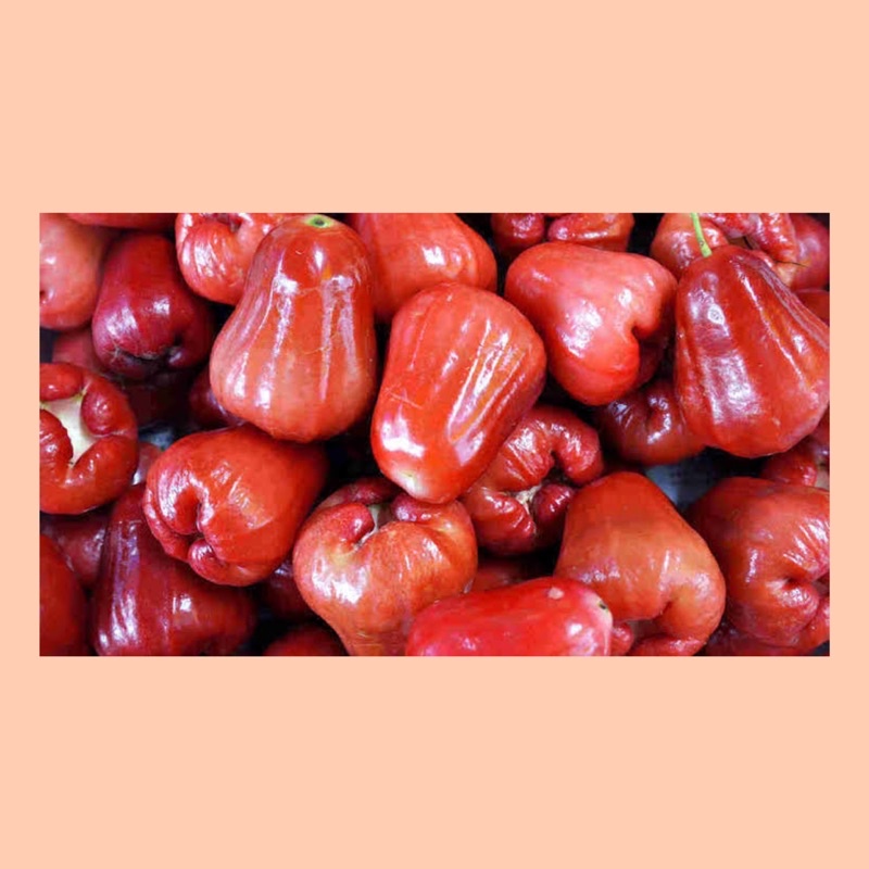 

Jambu citra merah / jambu citra