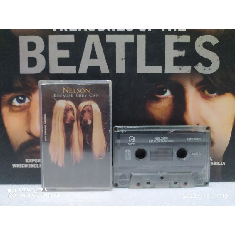 Kaset Pita : NELSON - BECAUSE THEY CAN.