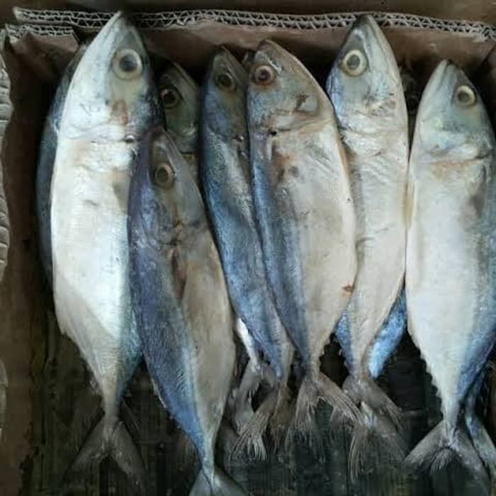 

Ikan Asin Peda Putih Netto 500 Gram