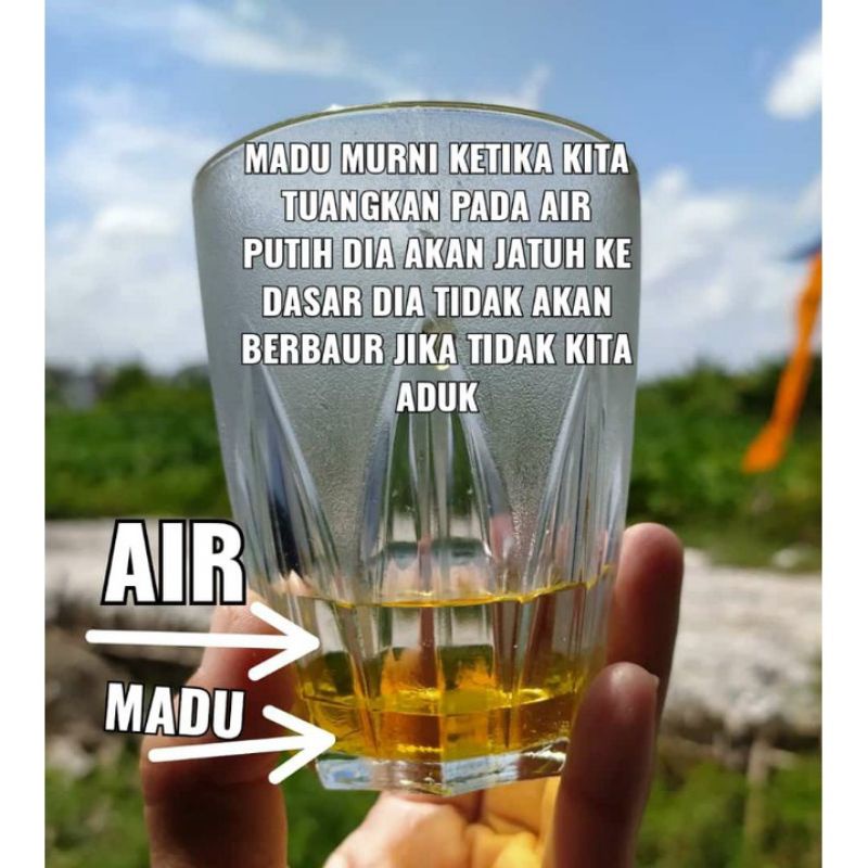 Madu murni asli Kalimantan