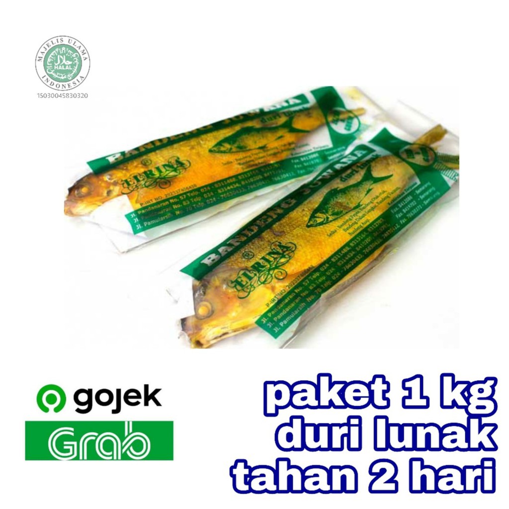 

Bandeng Presto Duri Lunak Juwana Elrina Oleh Oleh Khas Semarang Paket 1 kg