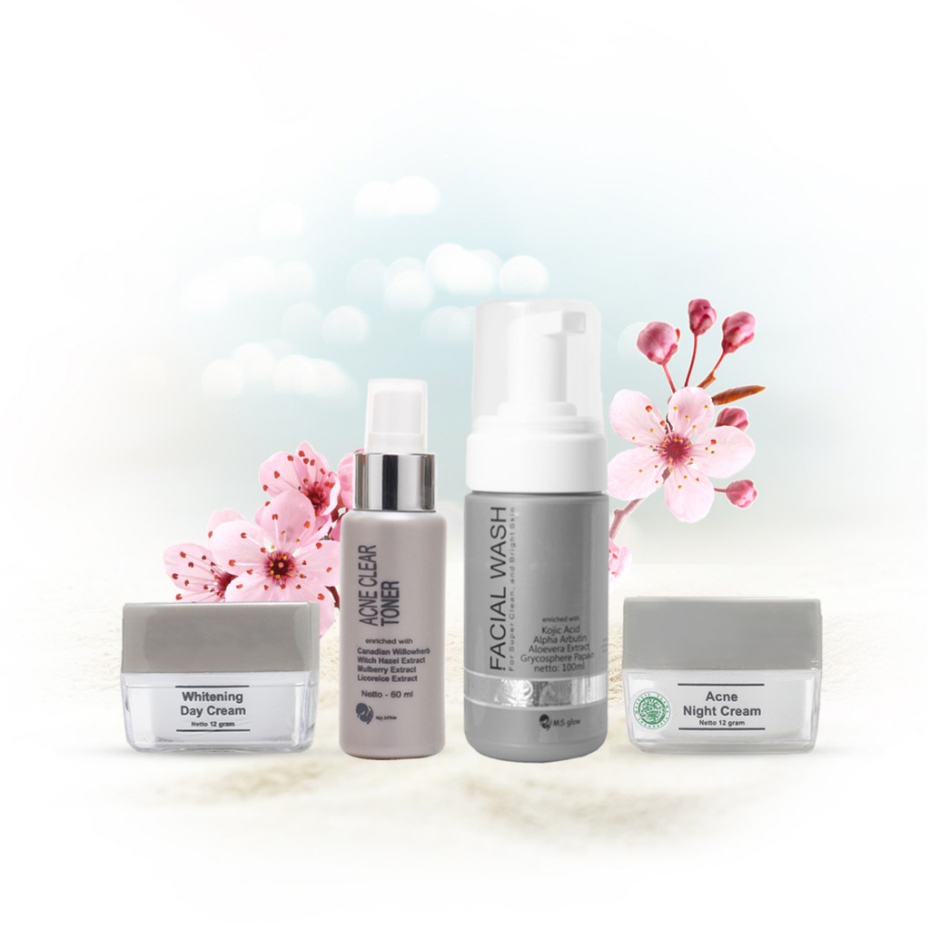 MS GLOW ACNE SERIES SKIN CARE WAJAH