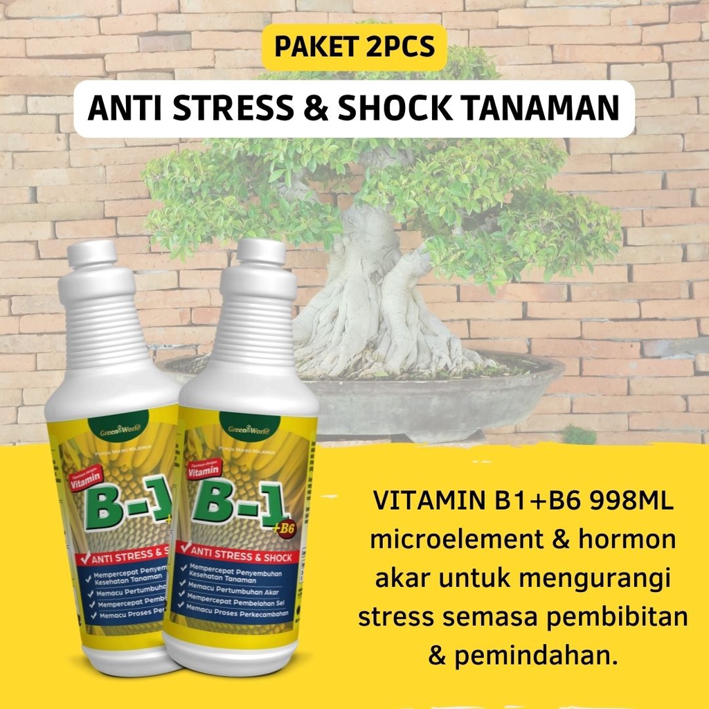 Pupuk Vitamin B1 + B6 1 Liter