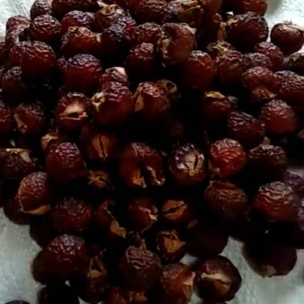 

>Biji Lerak Daging Tanpa Biji 1kg Mac4m2,,<