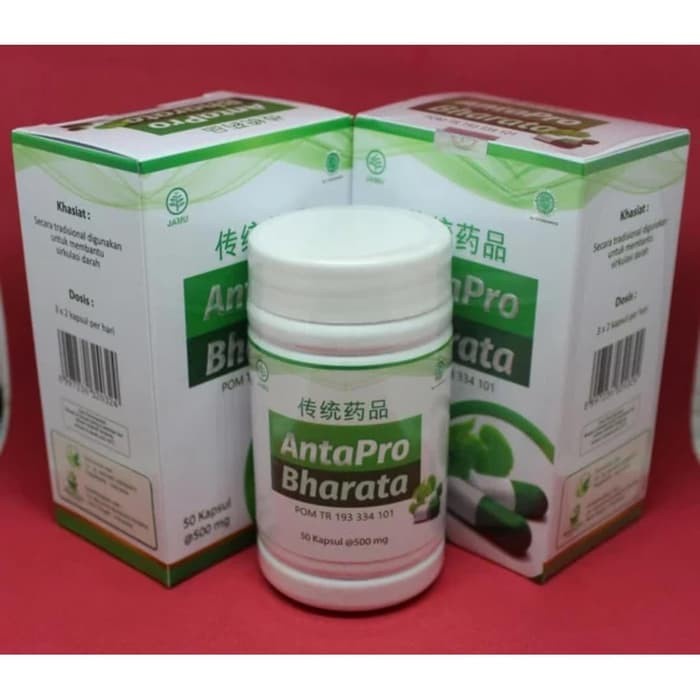 Antapro Bharata Obat Stroke Darah Tinggi Saraf Kejepit Kolestrol Herbal Ampuh