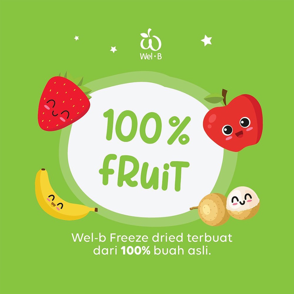 WEL-B Freeze Dried Fruits Cemilan Anak Snack Anak WelB