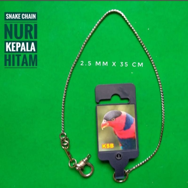Rantai nuri paltem,Rantai stainless,rantai burung