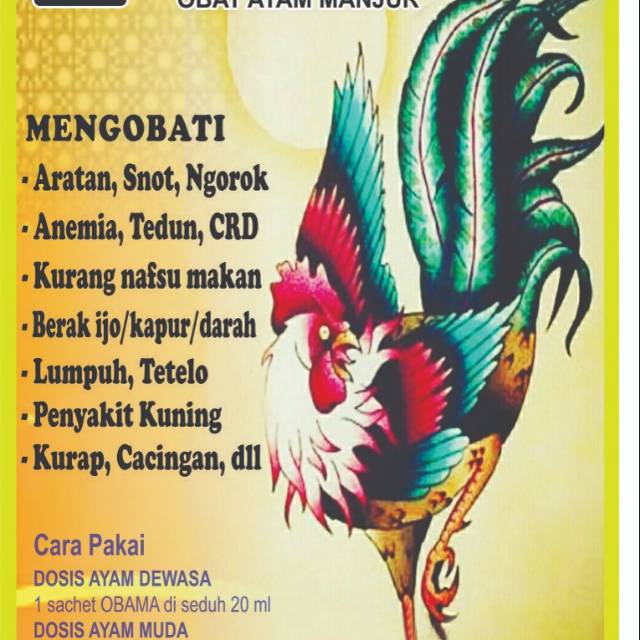 Obama Obat Ayam Manjur