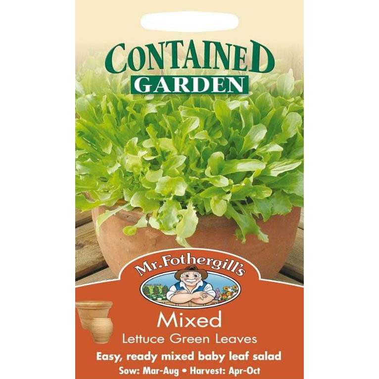 

Terbaru Biji Benih Sayuran Selada Hijau / Lettuce Green Leaves F1 Juara