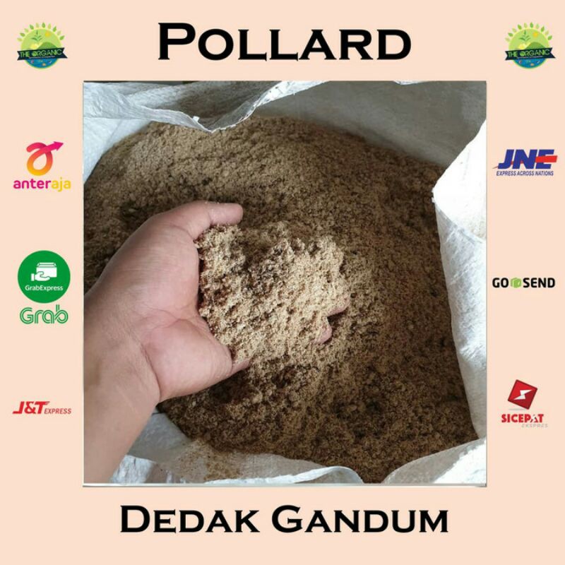 Jual Pollard Dedak Gandum Harga Perkilo Shopee Indonesia