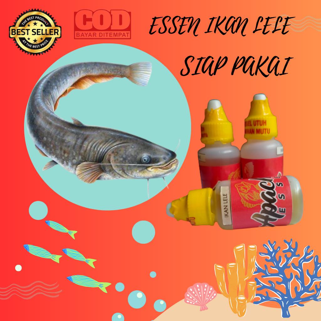 PENAMBAH AROMA UMPAN TARGER IKAN LELE PALING AMPUH APACHE ESSEN
